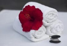 Poudre d’hibiscus cheveux : bienfaits et utilisation hibiscus cheveux