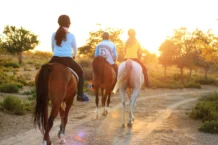 La boutique Horse Pilot